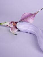 Вибростимулятор для точки G Svakom Margot с нагревом, 21 см