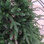 Ель искусственная «Престиж» (Литая хвоя) 150 см / 1,5 м