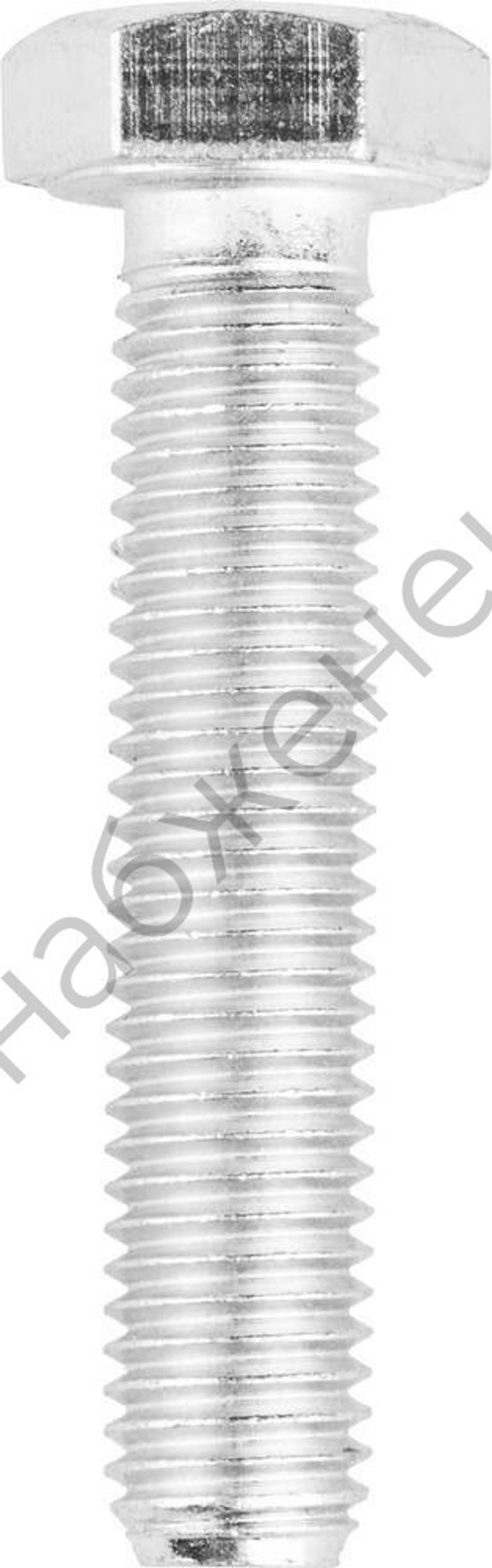 ЗУБР ГОСТ 7798-70 кл. пр. 5.8, M12 x 60 мм, болт оцинкованный, 5 кг (303080-12-060)