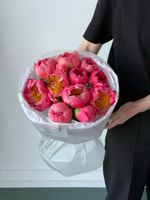 Букет из пионов сорта Корал Шарм 11 шт