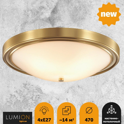 Накладной светильник Lumion 5259/4C