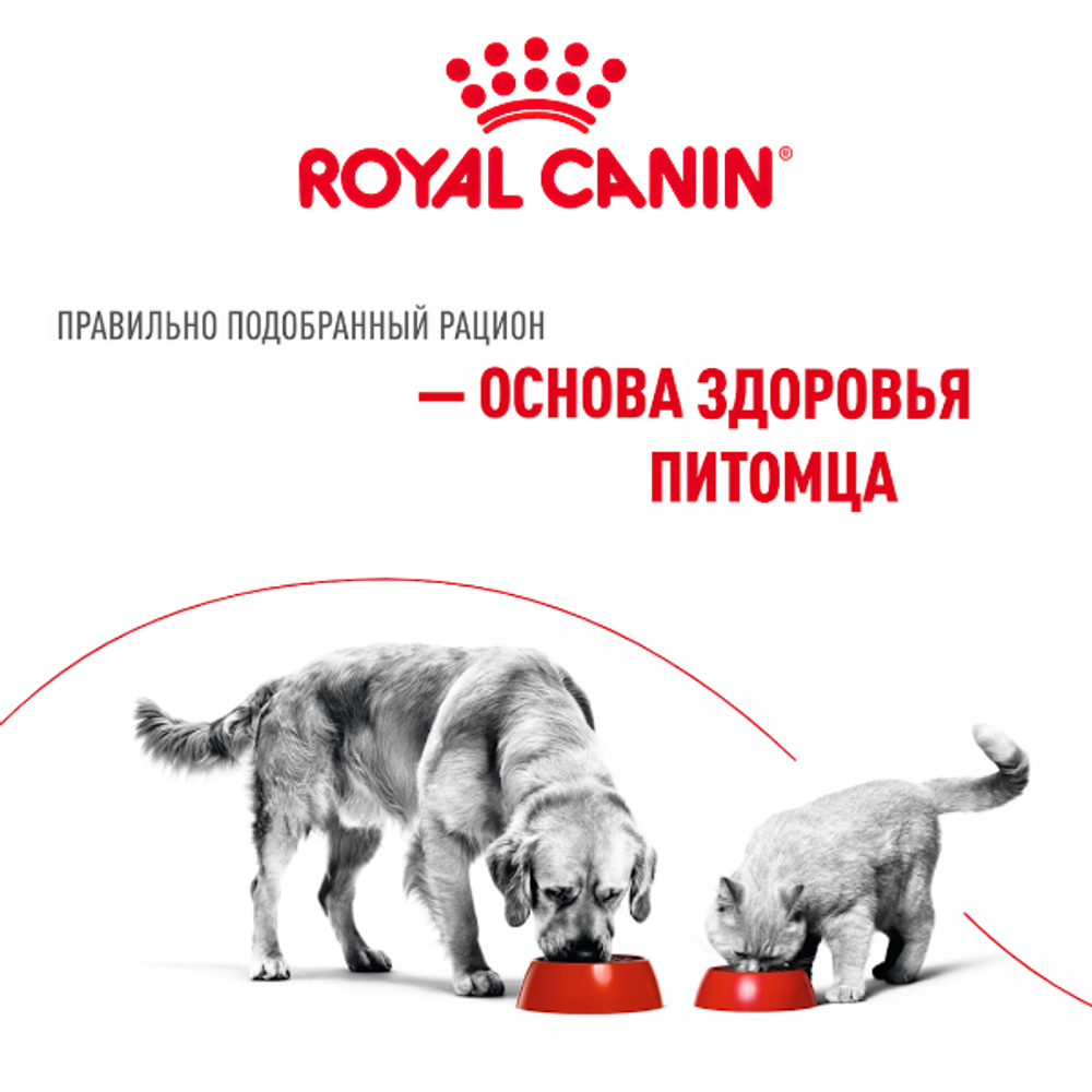 Royal Canin