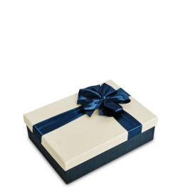 WG-48/1-A Коробка подарочная «Прямоугольник» цв.син/бел.