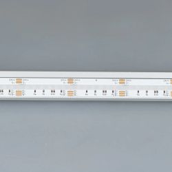 Светодиодная лента CSP-X840-12mm 24V RGBW-Day (17.2 W/m, IP20, 5m) (Arlight, 5 лет) 046936