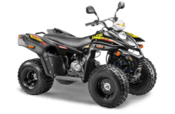 Квадроцикл STELS ATV 110A HUGO