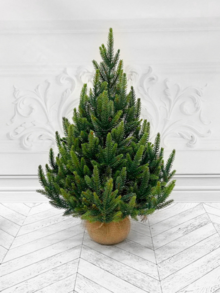 Ель Triumph Tree Королевская 100% литая 60см в мешочке зеленая