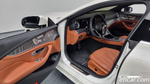 Mercedes-Benz CLS-Class C257 CLS450 4MATIC (07.2022)