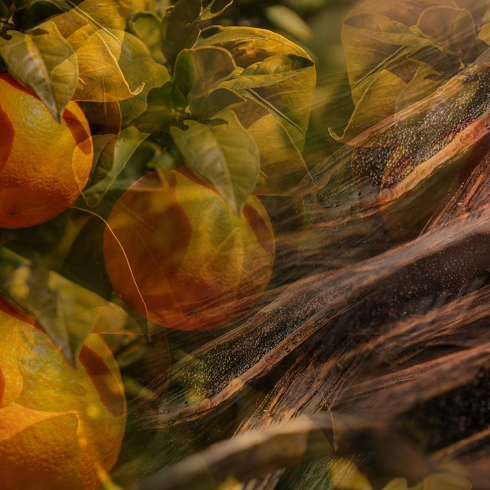 Dr. Vranjes Vaniglia Mandarino спрей-ароматизатор воздуха (аромат ваниль мандарин)