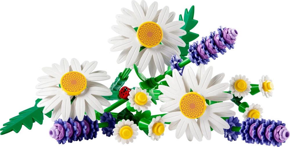 Конструктор LEGO Botanical Collection 11508 Daisies