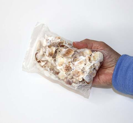 Спилы морских ракушек разные 100 гр. для декора