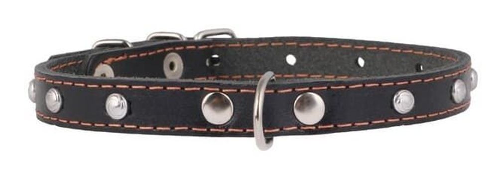 Ошейник одинарный с украшением (ширина 12мм, длина 24-32см)черный Ошейник одинарный с украшением (ширина 12мм, длина 24-32см)черный