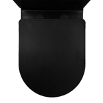 Унитаз напольный Azario Black Queen AZ-8380 черный матовый, безободковый, с бачком, с крышкой микролифт