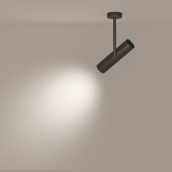 Потолочный светильник Technical C020CL-01B