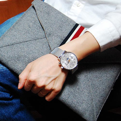 ZEPPELIN Quartz Movement 30m Water Resistance Men"s Watches Watch 40mm Silver Dial Stainless Steel Watch Case