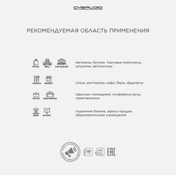 CVGAUDIO PT-120 100V усилитель мощности