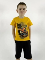 01-124-1 Комплект фуфайка+шорты для мальчика Luneva