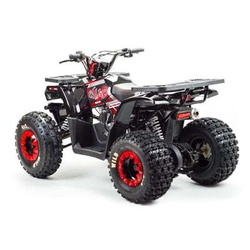 Квадроцикл MOTOLAND WILD 150