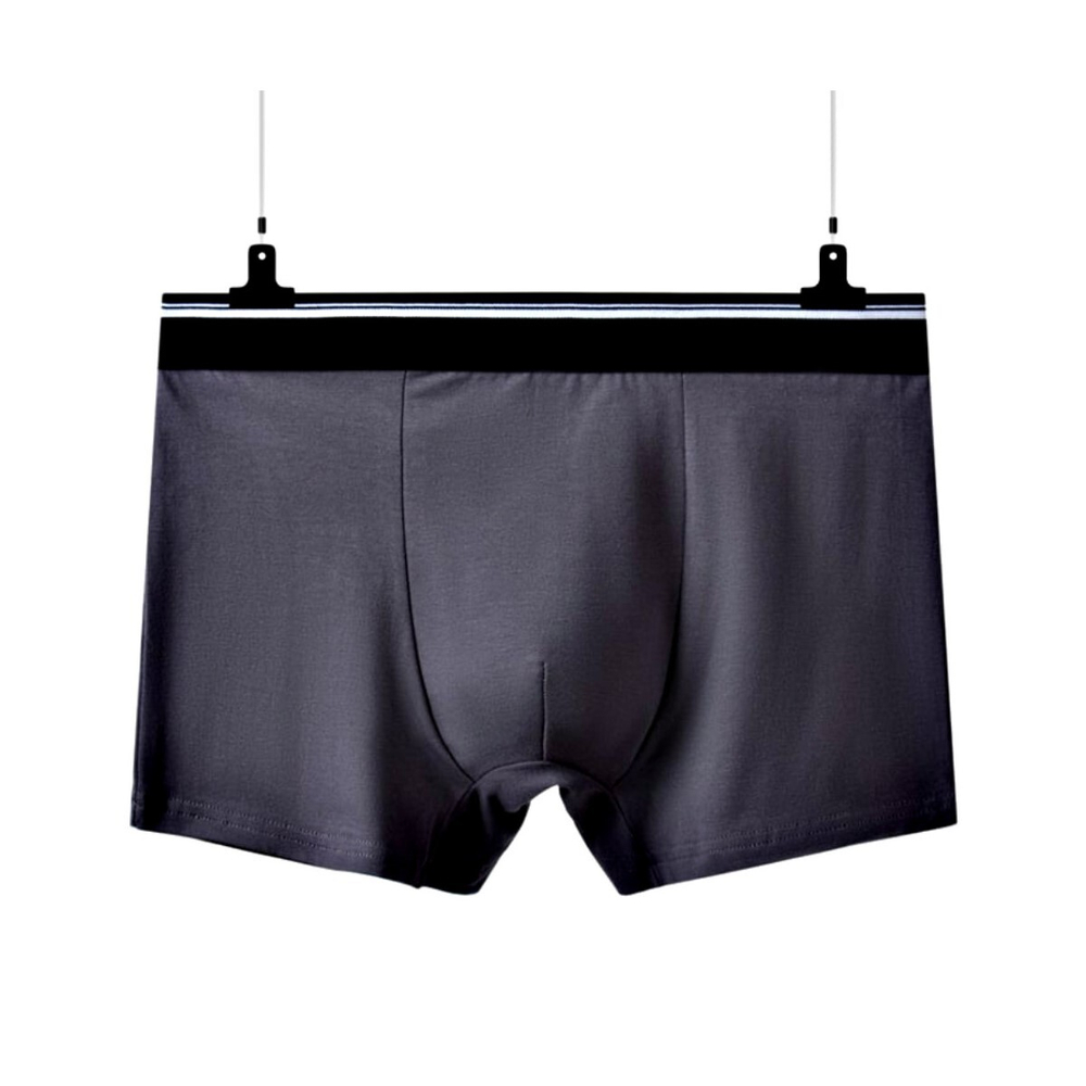 Мужские трусы боксеры темно-серые ROMEO ROSSI RR6095-4