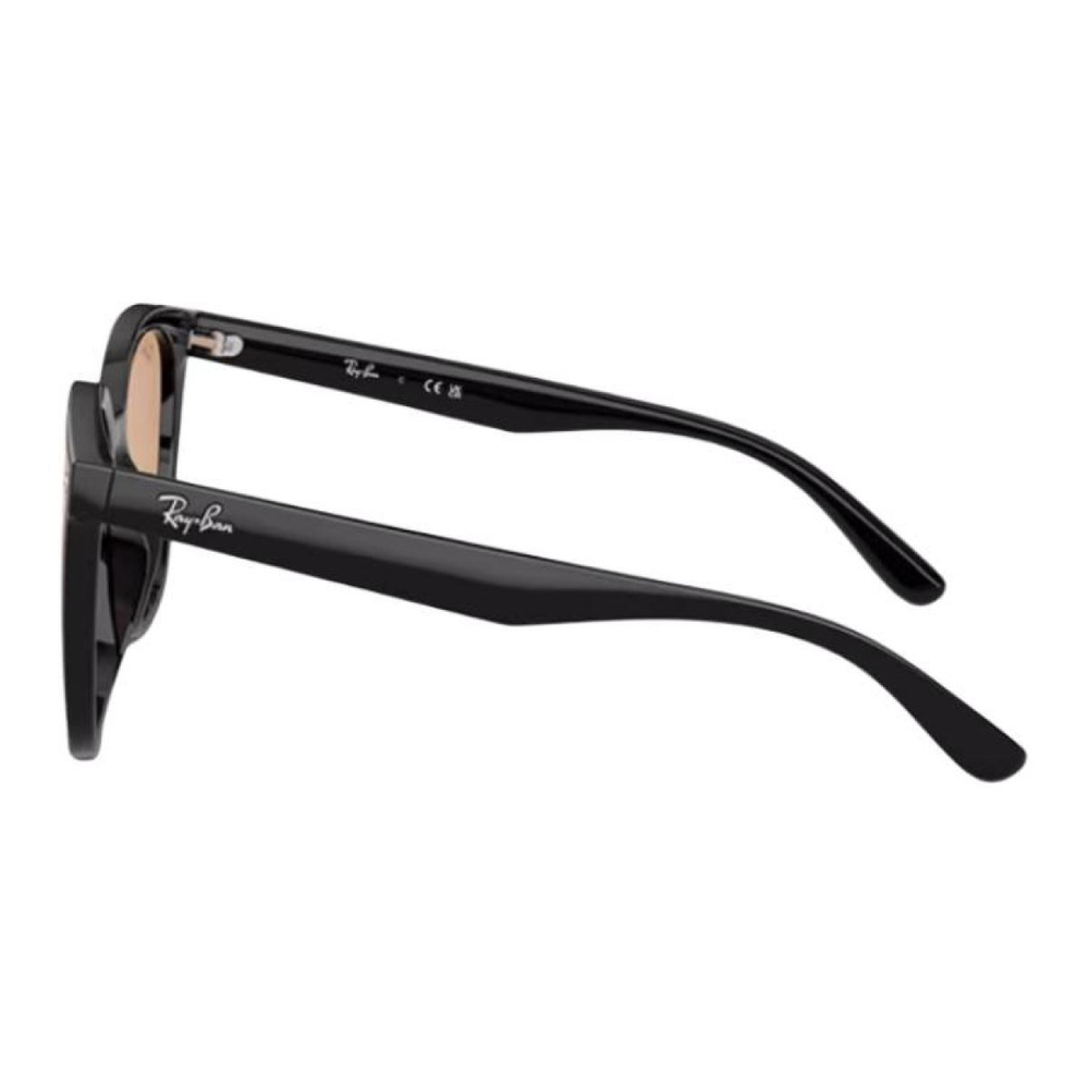 Очки RayBan Logo 1/ 2/ 3/ /, 0RB4423D