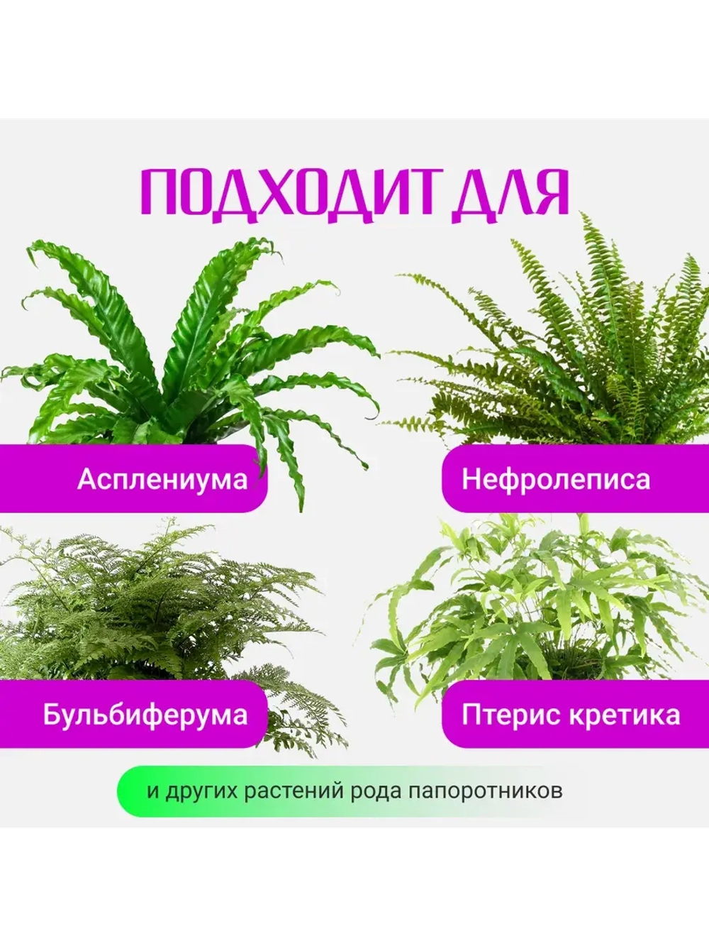 Органический грунт для папоротника 2,5 л