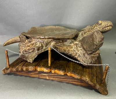 Черепаха «Тортила»