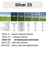 silver 25 90х150