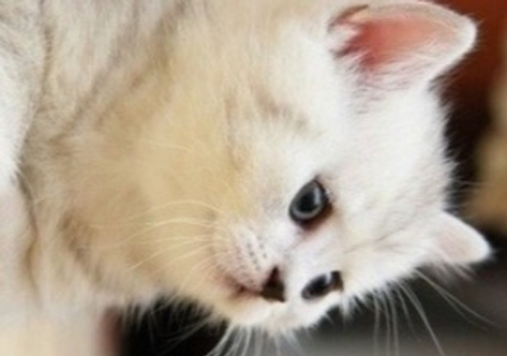 Товар с НЕ 0 стоимостью