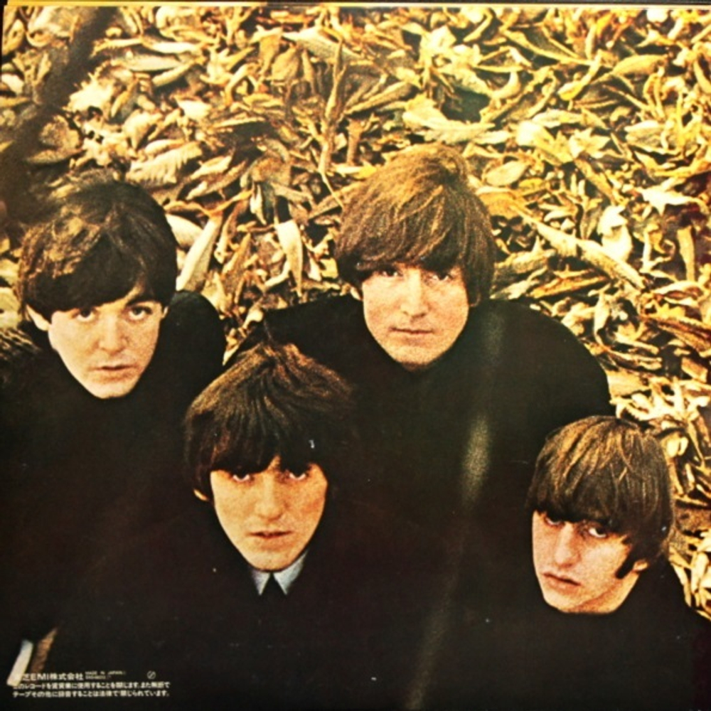 The Beatles / The Beatles Collection (14LP)