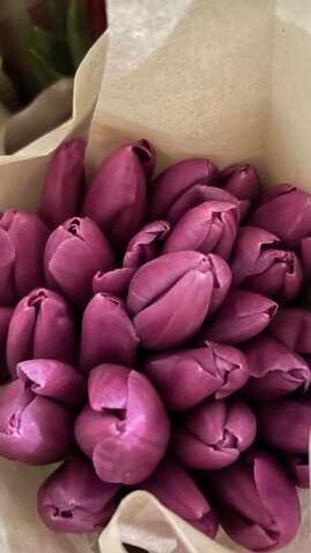 37 тюльпанов лавандовый + светлая упаковка