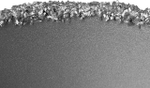 Коронка-чашка ЗУБР ″Профессионал″ c карбид-вольфрамовым нанесением, 32 мм, высота 25 мм, в сборе с державкой и сверлом