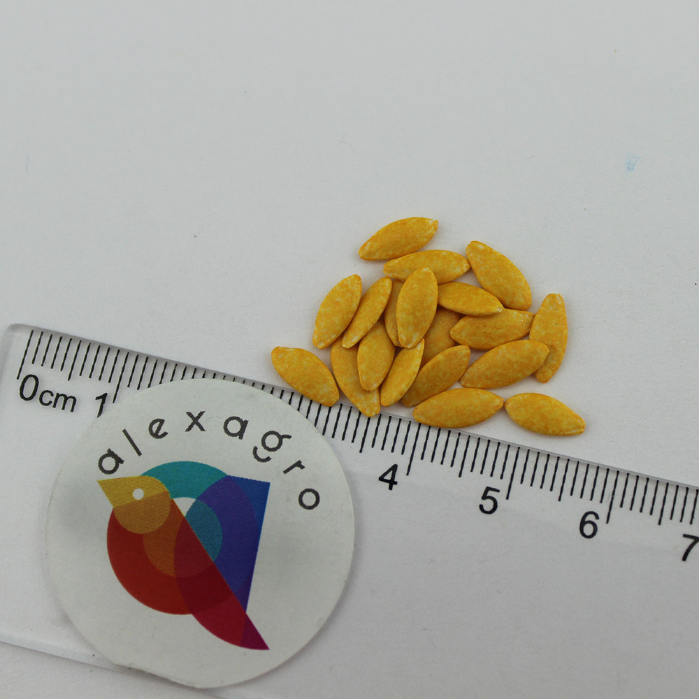 Северин F1 семена огурца партенокарпического (Enza Zaden / ALEXAGRO) семена