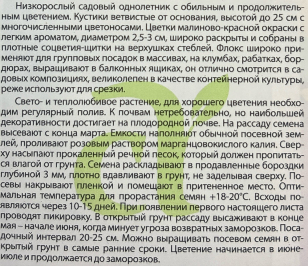 Флокс Друммонда Красотка в малиновом 0,1 г СМЦ-285