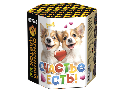Счастье есть! 1,1" х 19 залпов,  1/18, шт