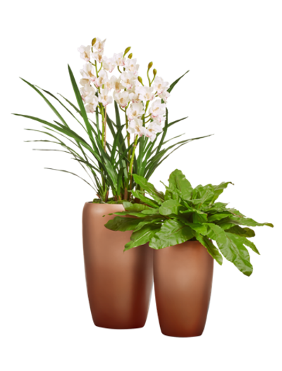 Композиция с орхидеей в матовых кашпо Treez Effectory Metal