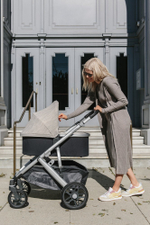 UPPAbaby VISTA V2 (3 в 1)