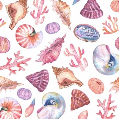 Ракушки, кораллы, морские ежи акварелью на белом