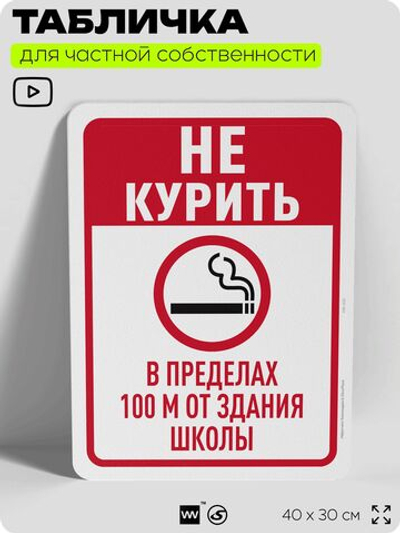 Табличка для частной территории "Не курить в пределах 100 м от здания школы", на дом, для участка, для подъезда, организаций и частных территорий, 40х30 см, Silver Plane x Айдентика Технолоджи