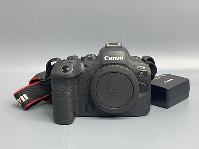 Canon R6 Mark II 36000 кадров