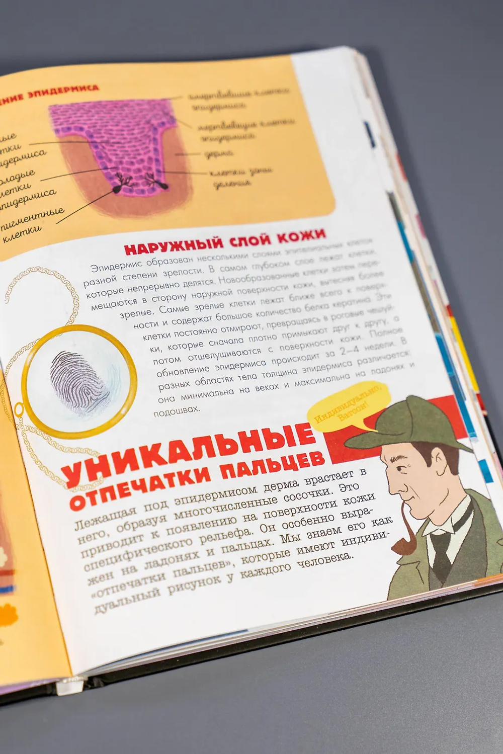 Человек. Исследуем тело и мозг человека