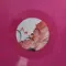 OST - Trevor Alan Gomes – Chicory Piano Collections - Pink - LP