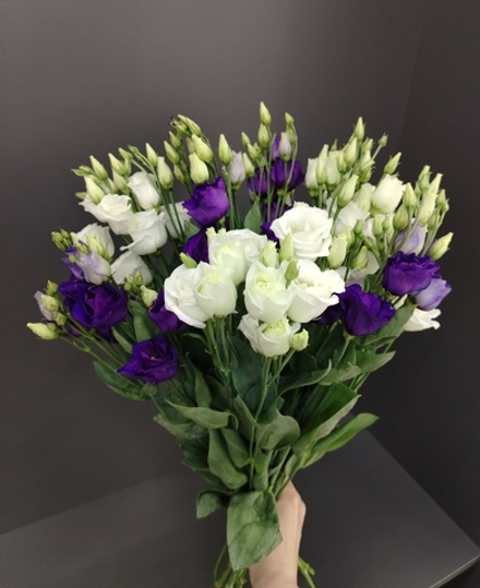 Эустома на 27.03 9 веток