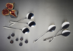 Набор из 44 столовых приборов Eden Viners