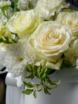 Чистая радость *