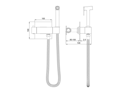 Смеситель с гигиеническим душем и термостатом встраиваемый WONZON & WOGHAND, Хром (WW-88819903-CR)