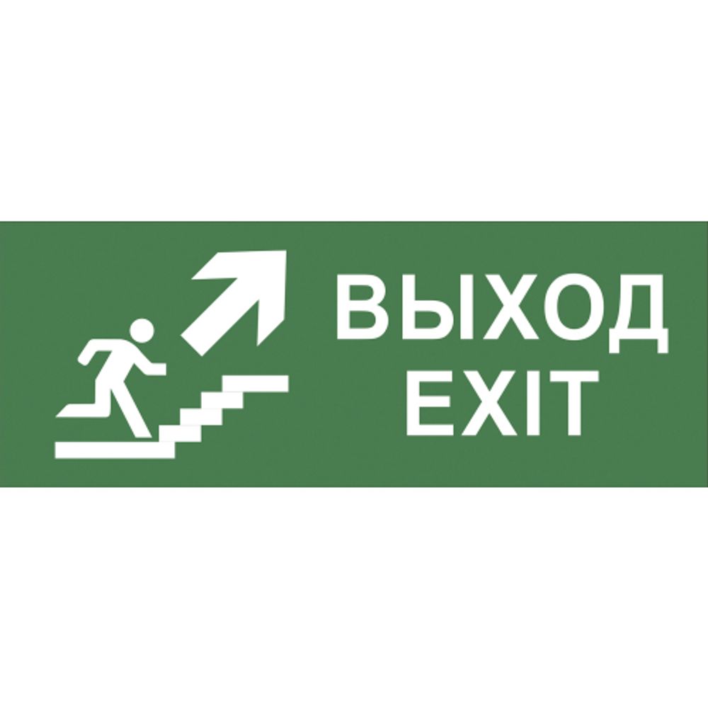 Самоклеящаяся этикетка ЭРА INFO-DBA-014 200х60мм Выход/лестница вверх/фигура DPA/DBA | Наклейки для светильников (знаки безопасности)