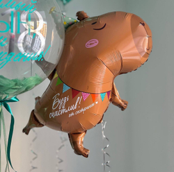 Воздушные шары Капибара №3059