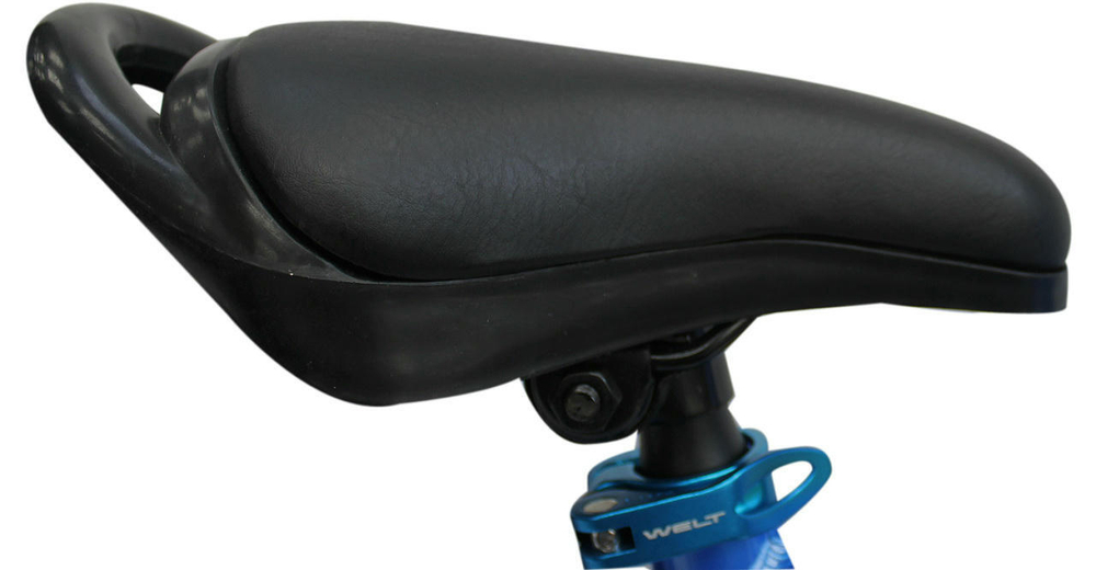 Детский велосипед Welt Zebra Pro 12 (2021)