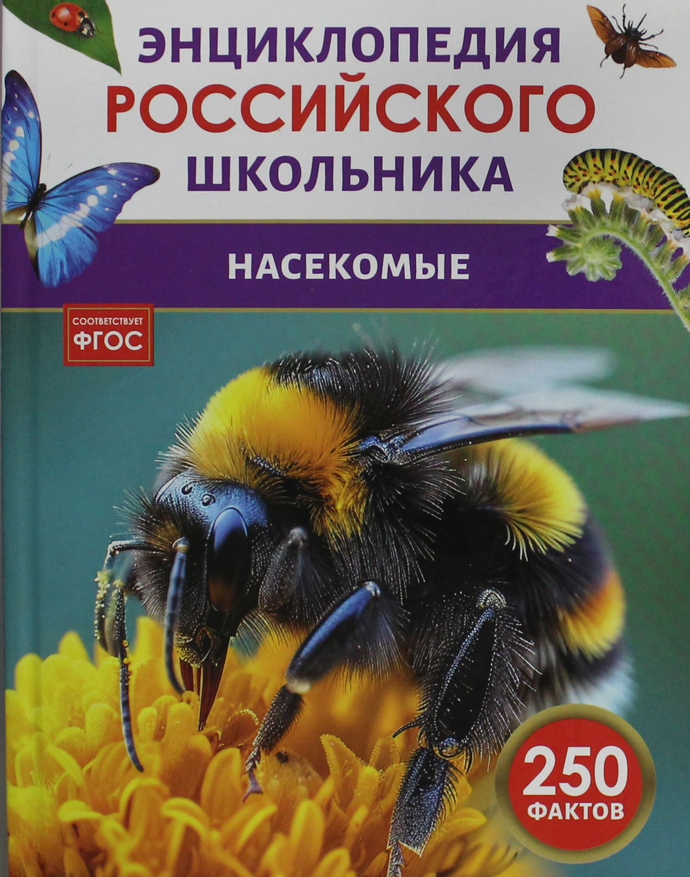 Насекомые. Энциклопедия российского школьника