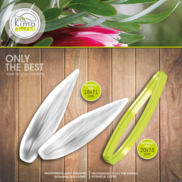 Протея лепесток узкий