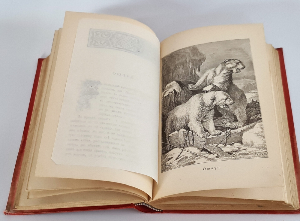 "Из жизни русской природы. Зоологические очерки и рассказы". М.Н.Богданов. 1889г.
